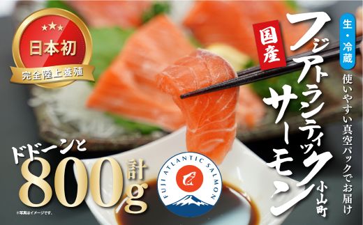 2B7【日本初：完全陸上養殖】「 フジアトランティック サーモン 」【 生 ・冷蔵】800ｇ以上