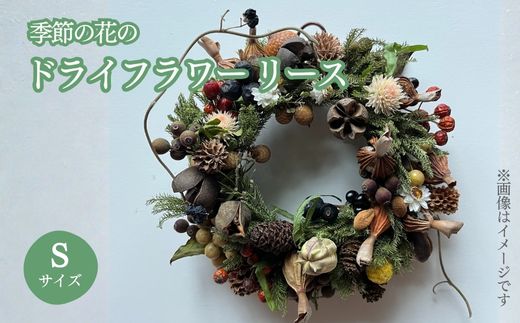 E14季節の花のドライフラワー　リース Sサイズ