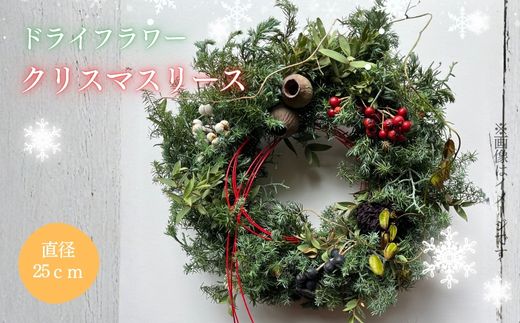 2G15ドライフラワー　クリスマスリース