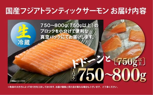 1B48繝輔ず繧「繝医Λ繝ウ繝繧」繝繧ッ繧オ繝シ繝「繝ウシ茨シ薙ヱ繝繧ッシ