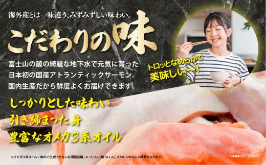 日本初 完全陸上養殖 静岡県小山町産 アトランティックサーモン 冷凍 アラ6パック 約1.5kg