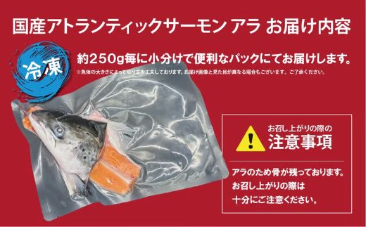 日本初 完全陸上養殖 静岡県小山町産 アトランティックサーモン 冷凍 アラ6パック 約1.5kg