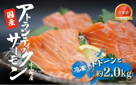 1F21小山町産アトランティックサーモン（８パック）