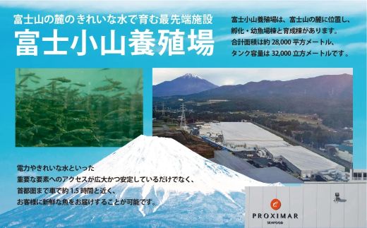 1G8フジアトランティックサーモン（１尾2.5～3.0kg未満）セミドレス