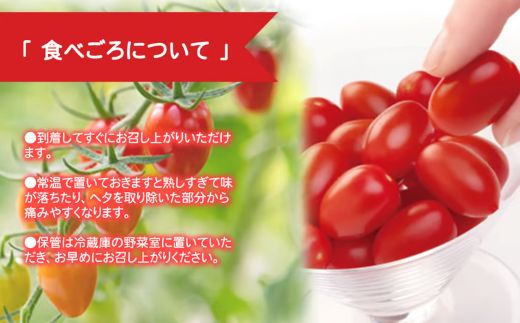 アメーラルビンズ 10パック入り