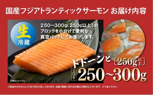 2AA2ããžã¢ãã©ã³ãã£ãã¯ãµãŒã¢ã³ïŒïŒããã¯ïŒ