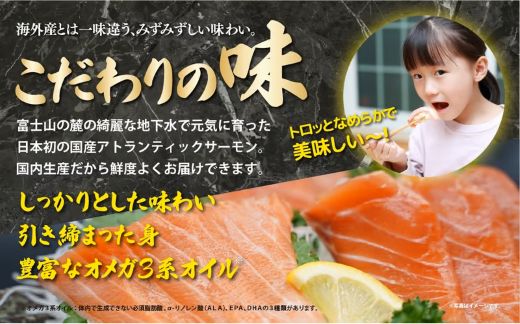 2B9日本初 完全陸上養殖 フジアトランティックサーモン 生 ・冷蔵 4パック 1,000～1,050g（ 1,000g以上 ）