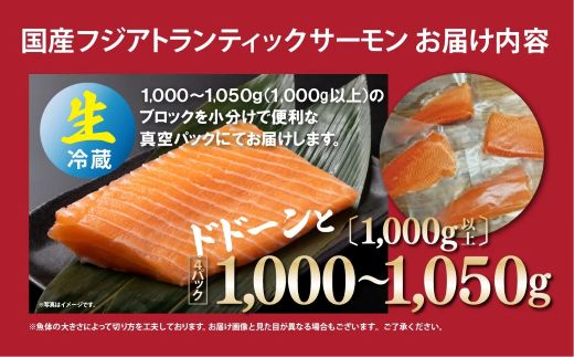 2B9日本初 完全陸上養殖 フジアトランティックサーモン 生 ・冷蔵 4パック 1,000～1,050g（ 1,000g以上 ）