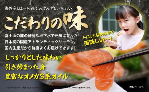 小山町産アトランティックサーモン　スモークサーモン（食べ比べセット80g×4パック×2種類）