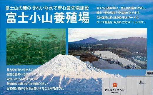 小山町産アトランティックサーモン　スモークサーモン（食べ比べセット80g×4パック×2種類）