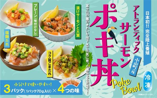 2E5【日本初：完全陸上養殖】小山町産アトランティックサーモン（冷凍）ポキ丼（食べ比べセット70g×3パック×4つの味）