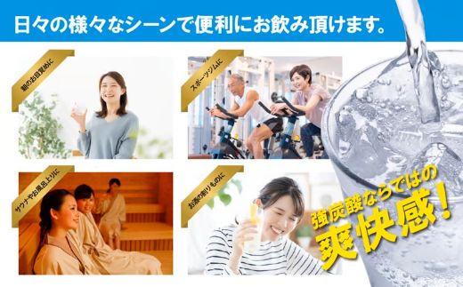 【 定期便 12ヶ月コース 】富士山の強炭酸水 500ml ラベルレス × 24本入 × 12回