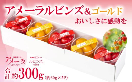 アメーラルビンズ＆ルビンズゴールド　5パック入り
