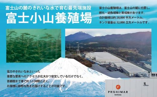 日本初 完全陸上養殖 静岡県小山町産 アトランティックサーモン 冷凍 ポキ丼 （ 約160g × 4パック ）漬けサーモンと大葉