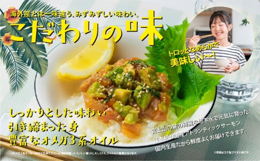 日本初 完全陸上養殖 静岡県小山町産 アトランティックサーモン 冷凍 ポキ丼（ 食べ比べ セット 約160g / 約130g × 1パック × 4つの味 ）