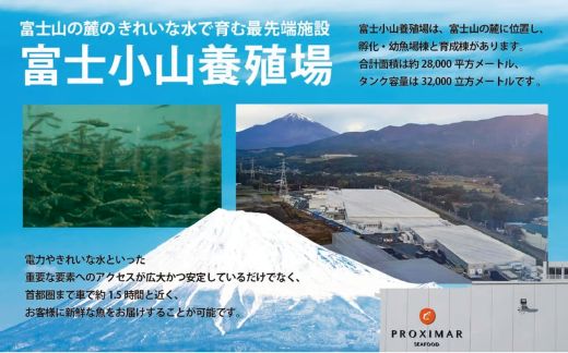 B56ãæ¥æ¬åïŒå®å
šéžäžé€æ®ãå°å±±çºç£ã¢ãã©ã³ãã£ãã¯ãµãŒã¢ã³ïŒå·åïŒãã䞌ïŒ70gÃ4ããã¯ïŒã³ã¯æšããŸã ã