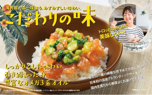 B57ãæ¥æ¬åïŒå®å
šéžäžé€æ®ãå°å±±çºç£ã¢ãã©ã³ãã£ãã¯ãµãŒã¢ã³ïŒå·åïŒãã䞌ïŒ70gÃ4ããã¯ïŒå¡©éºŽãã