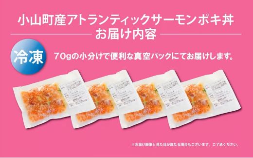 B57ãæ¥æ¬åïŒå®å
šéžäžé€æ®ãå°å±±çºç£ã¢ãã©ã³ãã£ãã¯ãµãŒã¢ã³ïŒå·åïŒãã䞌ïŒ70gÃ4ããã¯ïŒå¡©éºŽãã