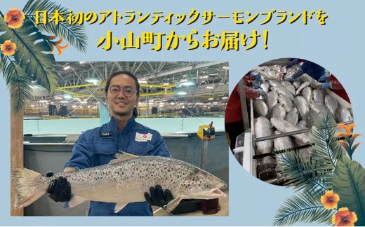 B59【日本初：完全陸上養殖】小山町産アトランティックサーモン（冷凍）ポキ丼（70g×4パック）プレーン（味付けなし）