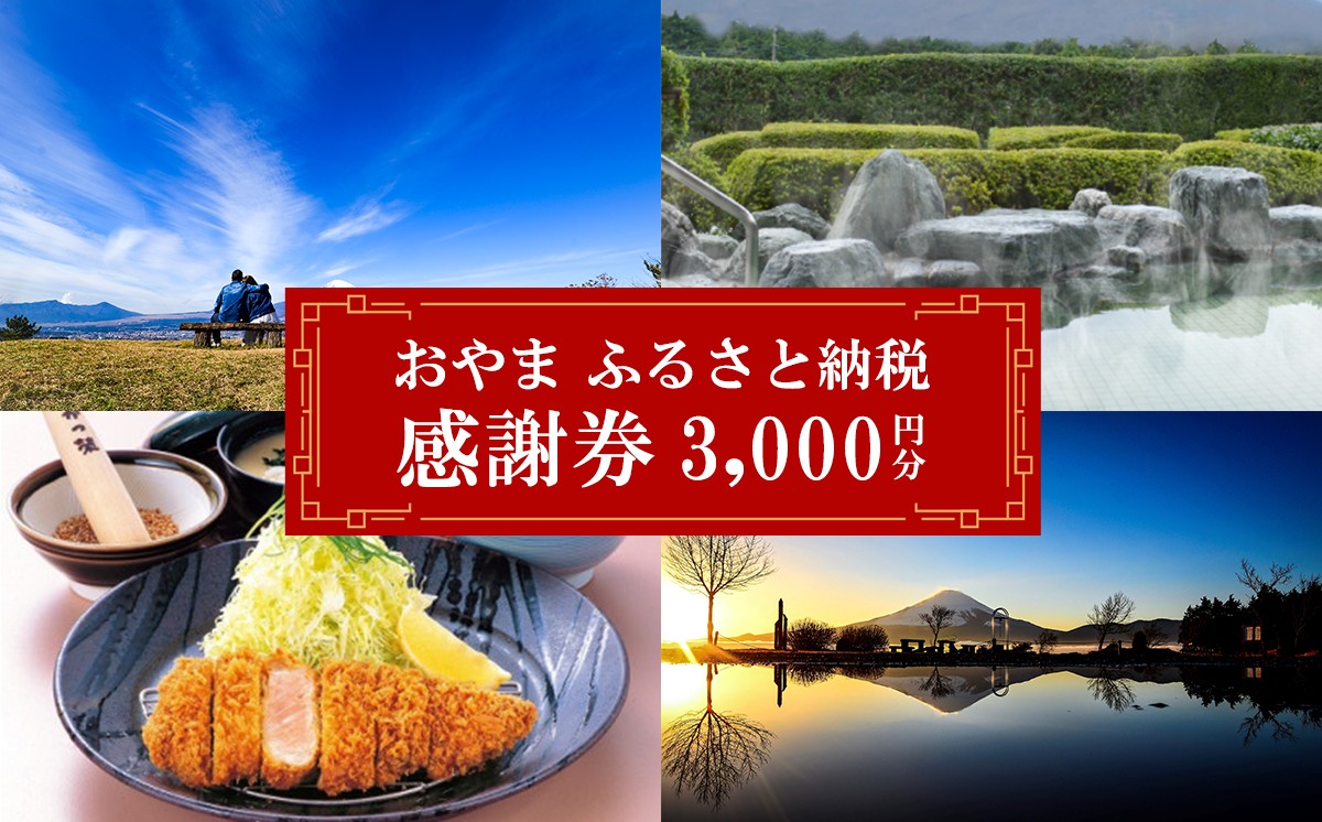 B60おやま ふるさと納税 感謝券 10,000円分（1,000円券×3枚）