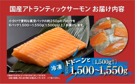 E17小山町産アトランティックサーモン（６パック）