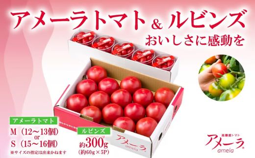 アメーラ＆ルビンズ5P