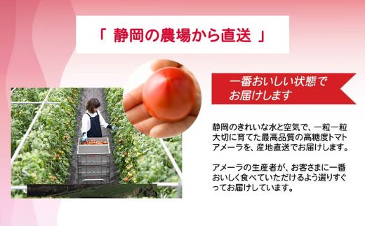 繧「繝。繝シ繝ゥシ繝ォ繝薙Φ繧コ5P