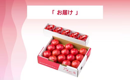 繧「繝。繝シ繝ゥシ繝ォ繝薙Φ繧コ5P