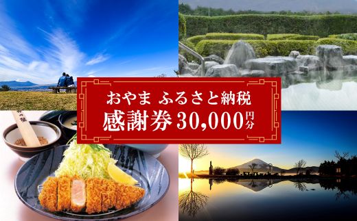 O40おやま ふるさと納税 感謝券 100,000円分（1,000円券×30枚）