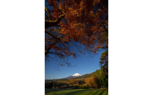 東富士カントリークラブ　ゴルフプレー利用券　1枚 【小山町内 ゴルフ場 共通利用券】