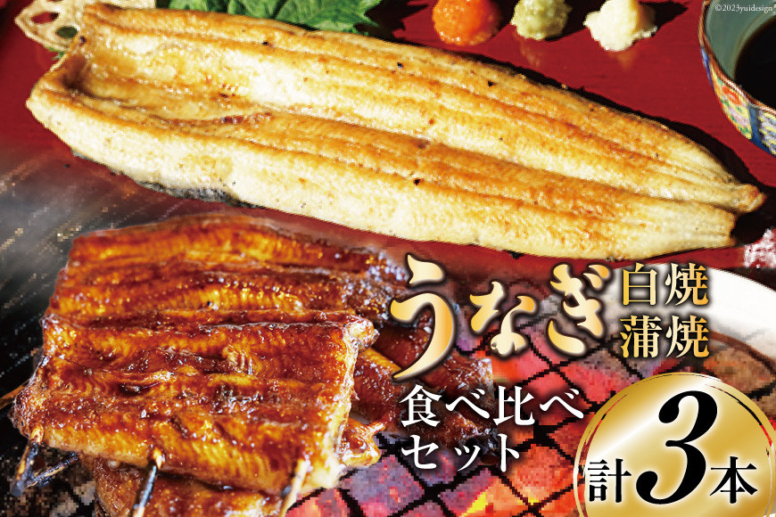血抜き締め国産新仔うなぎを炭火で1本1本丁寧に手焼きした「長焼き1尾 蒲焼2本食べ比べセット」 [ヤママツ村田商店 静岡県 吉田町 22424164]