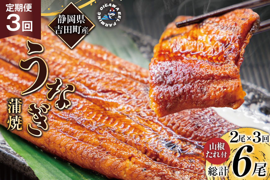 うなぎ 国産 静岡 定期便 蒲焼 150g以上 2尾 3回 総計6尾 [大井川うなぎ 静岡県 吉田町 22424567] 静岡県産 鰻 ウナギ ungai 蒲焼き うなぎ蒲焼き 鰻蒲焼 タレ たれ 山椒 真空パック 冷凍