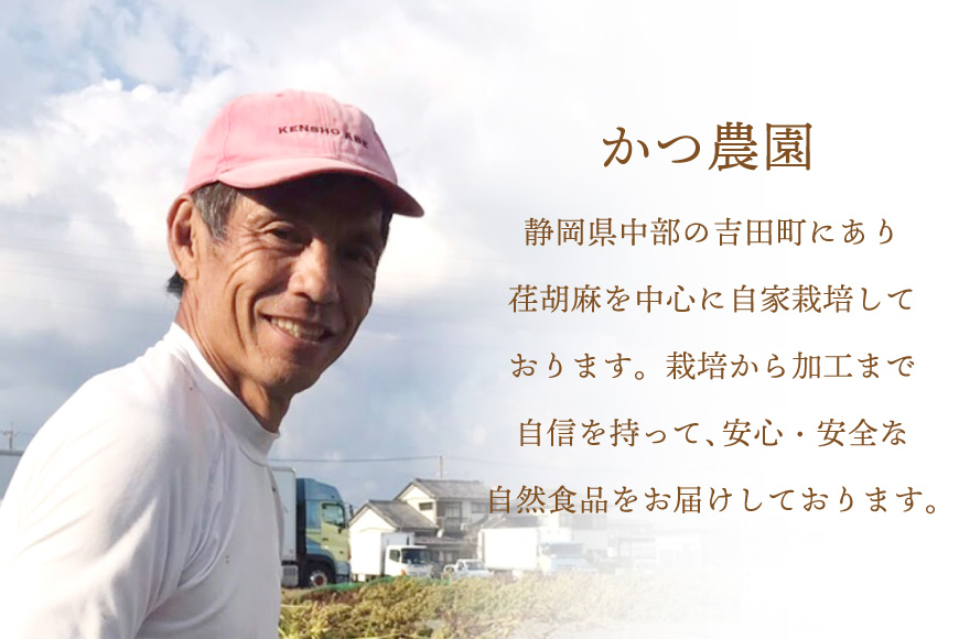【熟成芋使用】 訳あり 干し芋 国産 大ちゃん熟成干し芋 230g 2パック 計460g【期間限定発送 メール便 常温配送 ポストイン】[かつ農園 静岡県 吉田町 22424220] 干しいも ほしいも ほし芋 さつまいも 紅はるか