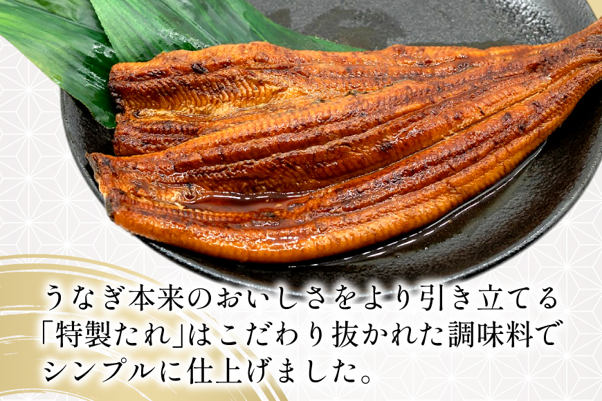 うなぎ 国産 静岡 定期便 蒲焼 長焼 約140g 4尾 3回 総計12尾 [静岡鰻販売 静岡県 吉田町 22424579] 静岡県産 鰻 ウナギ ungai 蒲焼き うなぎ蒲焼き 鰻蒲焼 タレ たれ 山椒 真空パック 冷凍