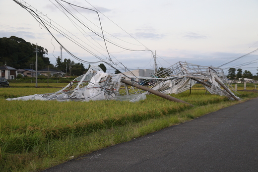 莉、蜥7蟷エ蜿ー鬚ィ15蜿キ
