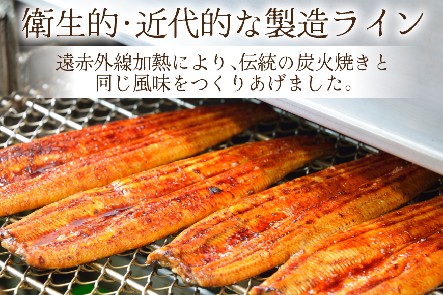 うなぎ 国産 蒲焼 定期便 145g前後 2尾 3回 総計6尾 真空パック タレ 山椒 付き 冷凍 [マルニうなぎ加工 静岡県 吉田町 22424474] 鰻 ウナギ 蒲焼き うなぎ蒲焼 うなぎ蒲焼き 鰻蒲焼き ウナギ蒲焼き 国産うなぎ蒲焼き unagi