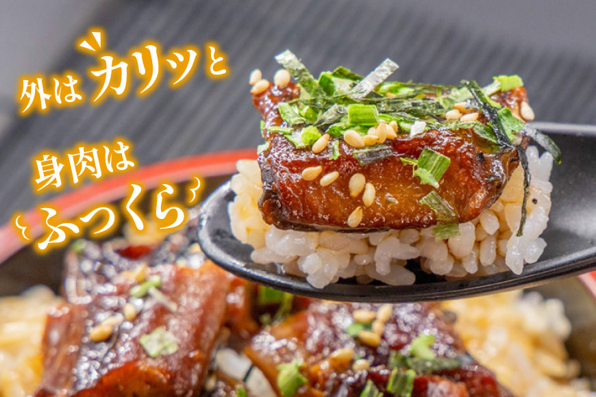 【静岡県吉田町加工】国産うなぎ うなぎ櫃まぶし詰合せ　あとはご飯にのせるだけ、だし汁・薬味付き [フーズ・ユー綱正 静岡県 吉田町 22424054] 鰻 ウナギ ひつまぶし 蒲焼 蒲焼き  タレ付き 国産