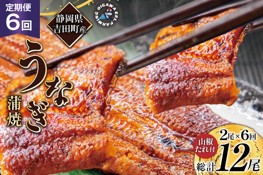 うなぎ 国産 静岡 定期便 蒲焼 150g以上 2尾 6回 総計12尾 [大井川うなぎ 静岡県 吉田町 22424566] 静岡県産 鰻 ウナギ ungai 蒲焼き うなぎ蒲焼き 鰻蒲焼 タレ たれ 山椒 真空パック 冷凍