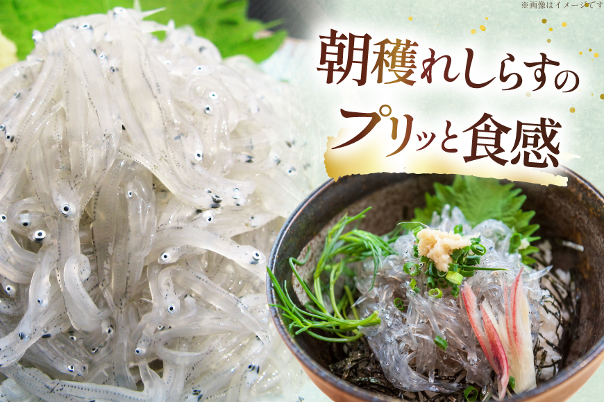 生しらす 160ｇｘ2パック と沖漬け 100g × 2パック 計520g 食べ比べ 小分け セット [丸三水産 静岡県 吉田町 22424697] しらす シラス 冷凍 海鮮 ご飯のお供