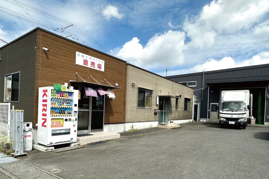 うなぎ 国産 静岡 定期便 蒲焼 2尾 & 白焼 2尾 6回 総計24尾 食べ比べセット [大井川うなぎ 静岡県 吉田町 22424562] 静岡県産 鰻 ウナギ ungai 蒲焼き うなぎ蒲焼き 鰻蒲焼 白焼き タレ たれ 山椒 真空パック 冷凍