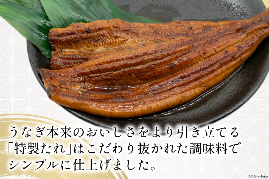 うなぎ 国産 静岡 うなぎ蒲焼 約140g 2尾 セット 計約280g 冷凍 [静岡鰻販売 静岡県 吉田町 22424452] 鰻 ウナギ うなぎかば焼き うなぎ蒲焼き 鰻蒲焼 鰻蒲焼き ウナギかば焼き 真空パック 蒲焼 タレ たれ 静岡県産 unagi