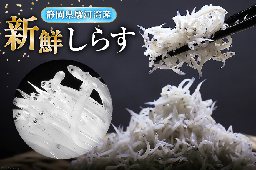 3回 定期便 静岡県駿河湾 しらす干し 120g×1 釜上げしらす 150g×2 計3パック [マルあ水産 静岡県 吉田町 22424308] しらす シラス 小分け 天日 じゃこ おじゃこ