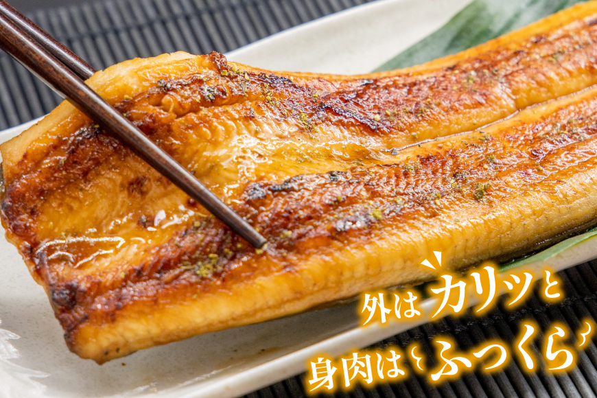 うなぎ 国産 蒲焼 65g×2切【有機原材料使用たれ】 [フーズ・ユー 静岡県 吉田町 22424523] 綱正 鰻 ウナギ unagi 蒲焼き うなぎ蒲焼き うなぎ蒲焼 鰻蒲焼 冷蔵