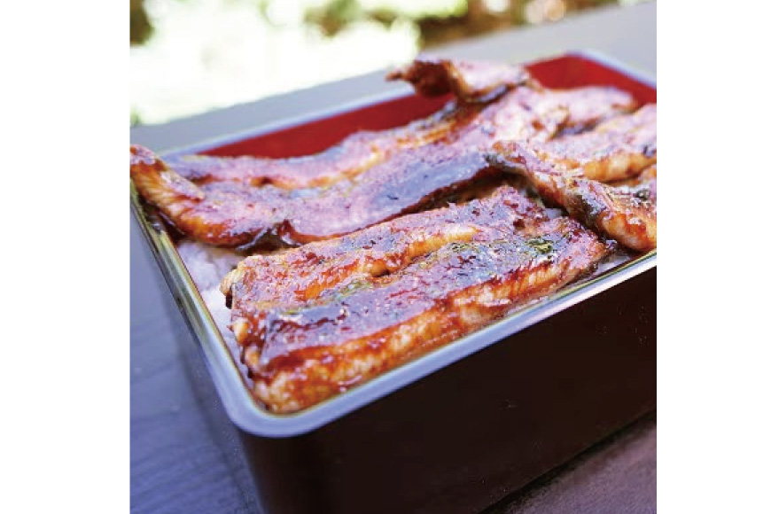 うなぎ 国産 訳あり 白焼 血抜き締め 300〜330g セット 3〜4本程度 [ヤママツ村田商店 静岡県 吉田町 22424596-a] 鰻 ウナギ unagi 白焼き うなぎ白焼 鰻白焼 炭火焼 冷凍 規格外