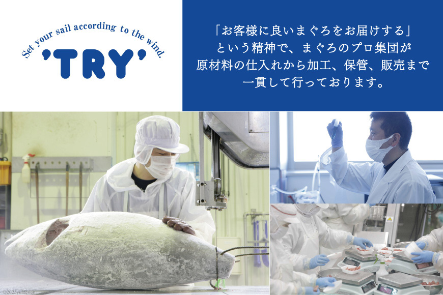 天然 マグロ 鮪たたき 250g×6 計1.5kg 6回定期便 [トライ産業 静岡県 吉田町 22424691] まぐろ 鮪 ねぎとろ ネギトロ たたき タタキ 冷凍 手巻き寿司 マグロたたき丼 大容量