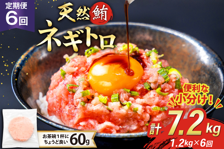 6回 定期便 天然 マグロ ネギトロ まぐろたたき 冷凍 60g 20個 計1.2kg [トライ産業 静岡県 吉田町 22424396] 小分け 個包装 まぐろのたたき 鮪 まぐろ ネギトロ丼 ねぎとろ マグロたたき