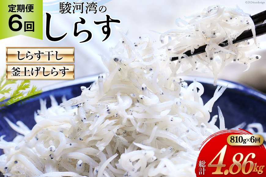 6回 定期便 静岡県駿河湾産 しらす干し 120g×3 釜上げしらす 150g×3 計6パック [マルあ水産 静岡県 吉田町 22424311] しらす シラス 小分け 天日 じゃこ おじゃこ