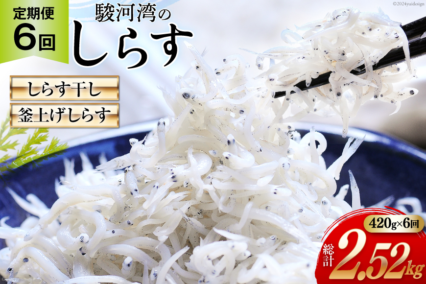 6回 定期便 静岡県駿河湾 しらす干し 120g×1 釜上げしらす 150g×2 計3パック [マルあ水産 静岡県 吉田町 22424309] しらす シラス 小分け 天日 じゃこ おじゃこ