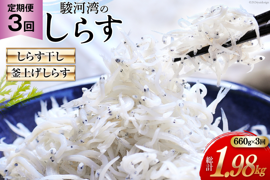 3回 定期便 駿河湾産 しらす干し 100g×3 釜上げしらす 120g×3 計6パック [マルあ水産 静岡県 吉田町 22424642] 魚 海鮮 しらす 白子 シラス 天日 じゃこ 小分け おじゃこ しらす干し