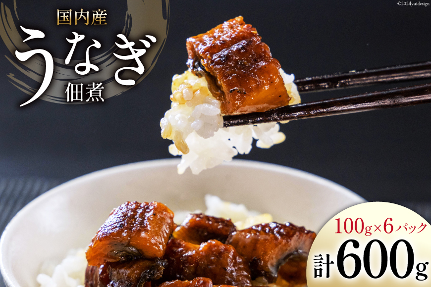 うなぎ 佃煮 国産 静岡 100g ×6 計600g [静岡鰻販売 静岡県 吉田町 22424327] 鰻 ウナギ 真空パック つまみ 酒の肴 惣菜 おかず ご飯のお供 冷凍